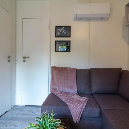 Iguana - Tiny Haus Am Reptilienzoo Reptilium 朗道因德普法尔茨