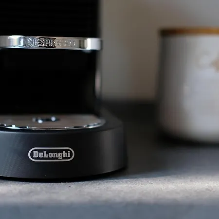 Iguana - Tiny Haus Am Reptilienzoo Reptilium *