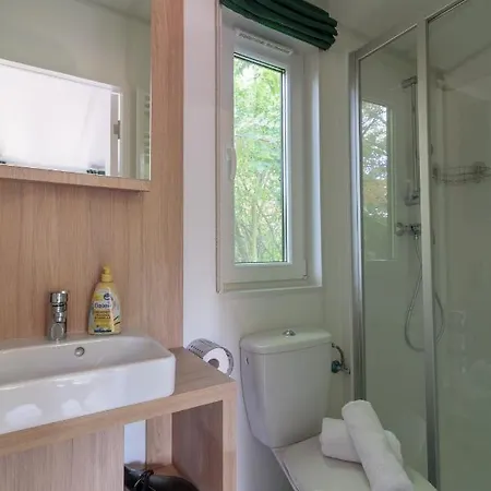 Iguana - Tiny Haus Am Reptilienzoo Reptilium * Landau in der Pfalz