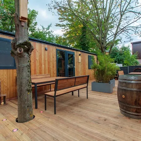 Iguana - Tiny Haus Am Reptilienzoo Reptilium Landau in der Pfalz