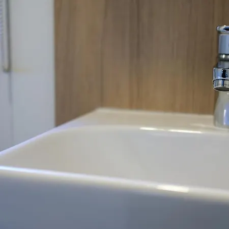 Iguana - Tiny Haus Am Reptilienzoo Reptilium Landau in der Pfalz