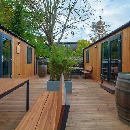 Iguana - Tiny Haus Am Reptilienzoo Reptilium 朗道因德普法尔茨