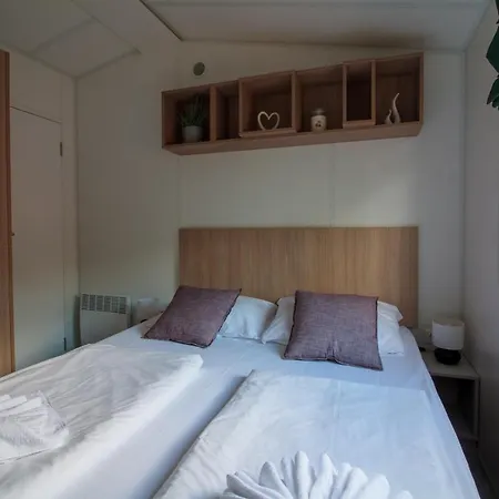 Iguana - Tiny Haus Am Reptilienzoo Reptilium