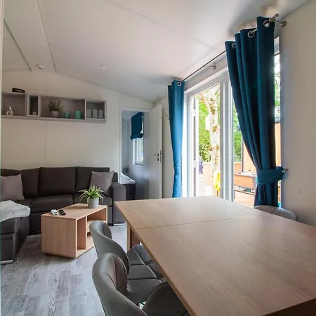 Iguana - Tiny Haus Am Reptilienzoo Reptilium * Landau in der Pfalz