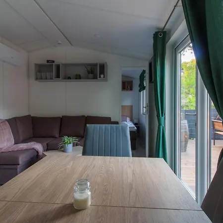 Iguana - Tiny Haus Am Reptilienzoo Reptilium Hébergement de vacances