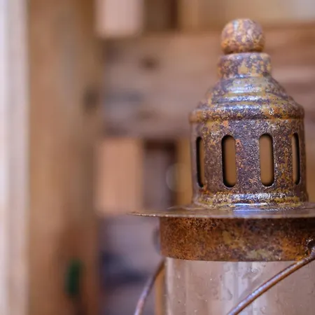 Hébergement de vacances Iguana - Tiny Haus Am Reptilienzoo Reptilium Landau in der Pfalz