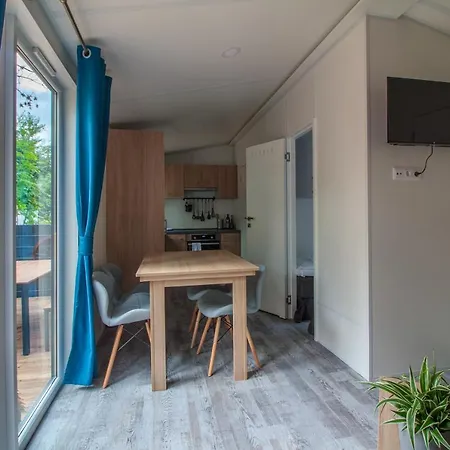 Iguana - Tiny Haus Am Reptilienzoo Reptilium * Landau in der Pfalz