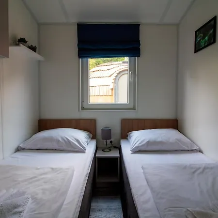 Iguana - Tiny Haus Am Reptilienzoo Reptilium * Landau in der Pfalz