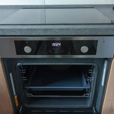 Iguana - Tiny Haus Am Reptilienzoo Reptilium Landau in der Pfalz