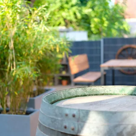 Iguana - Tiny Haus Am Reptilienzoo Reptilium Hébergement de vacances *