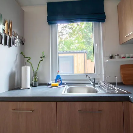 Iguana - Tiny Haus Am Reptilienzoo Reptilium Landau in der Pfalz