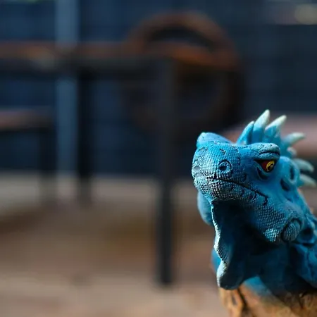 Iguana - Tiny Haus Am Reptilienzoo Reptilium Holiday home