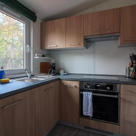 Iguana - Tiny Haus Am Reptilienzoo Reptilium *