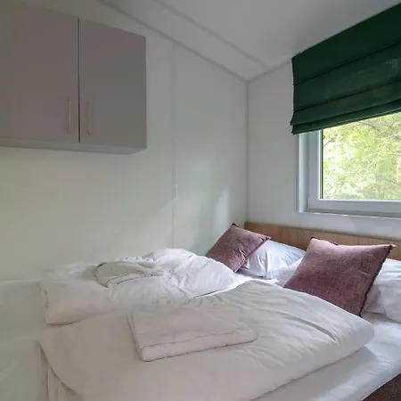 Iguana - Tiny Haus Am Reptilienzoo Reptilium