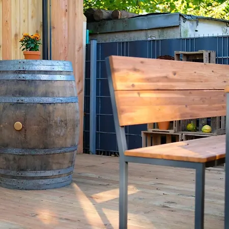 Iguana - Tiny Haus Am Reptilienzoo Reptilium Landau in der Pfalz