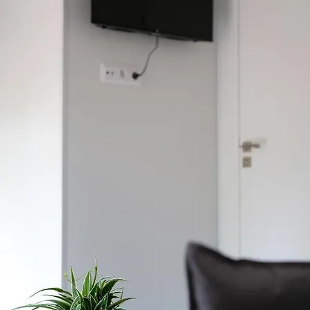 Iguana - Tiny Haus Am Reptilienzoo Reptilium Hébergement de vacances Landau in der Pfalz