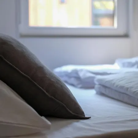 Iguana - Tiny Haus Am Reptilienzoo Reptilium