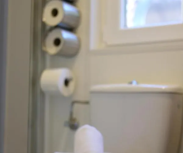 Iguana - Tiny Haus Am Reptilienzoo Reptilium 朗道因德普法尔茨