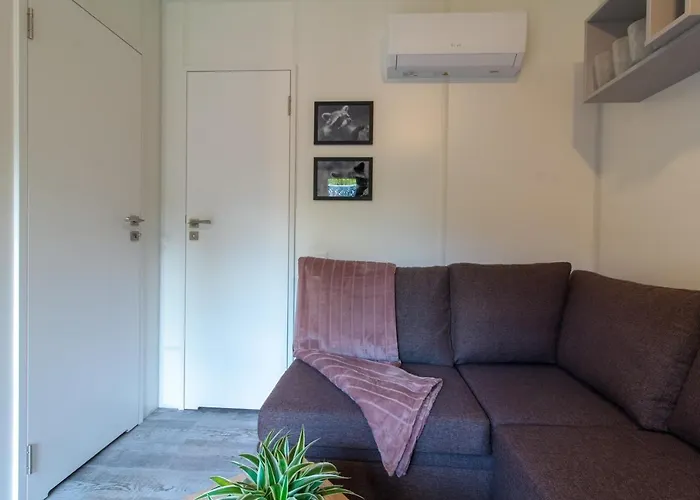 Iguana - Tiny Haus Am Reptilienzoo Reptilium 朗道因德普法尔茨