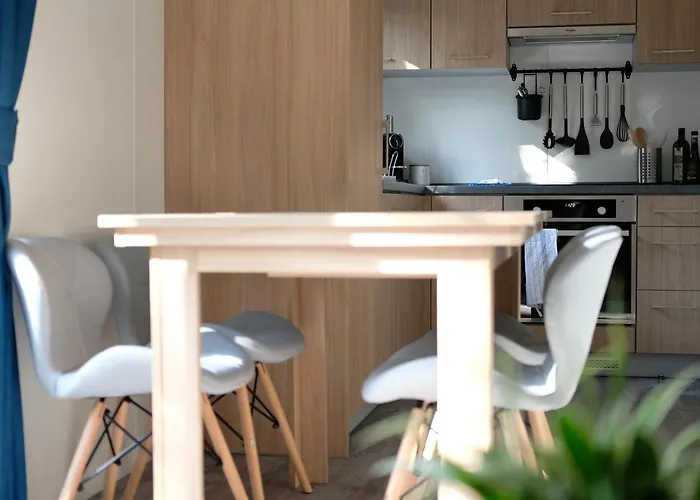 Iguana - Tiny Haus Am Reptilienzoo Reptilium