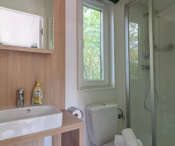 Iguana - Tiny Haus Am Reptilienzoo Reptilium * Landau in der Pfalz