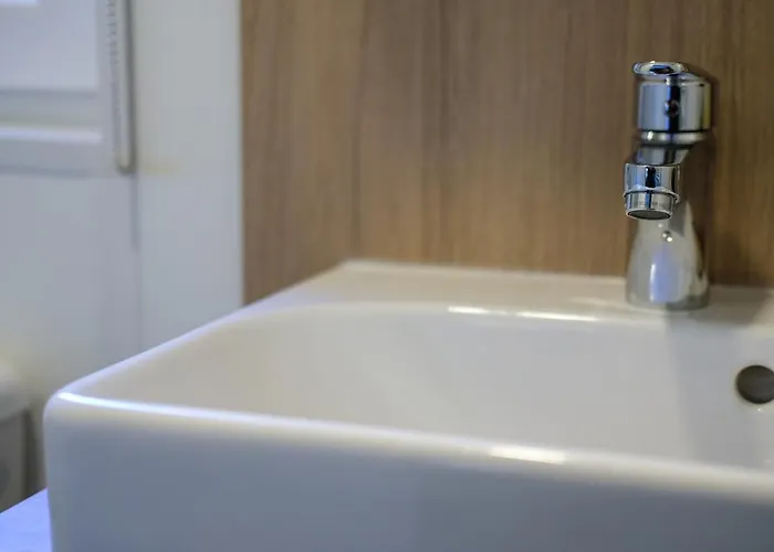 Iguana - Tiny Haus Am Reptilienzoo Reptilium 朗道因德普法尔茨