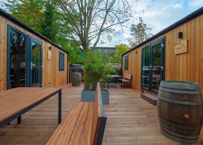 Iguana - Tiny Haus Am Reptilienzoo Reptilium Landau in der Pfalz