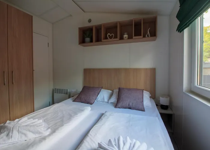 Iguana - Tiny Haus Am Reptilienzoo Reptilium