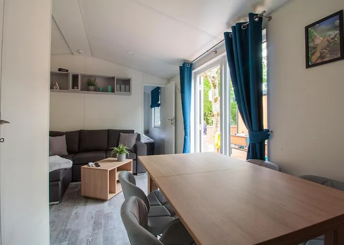 Iguana - Tiny Haus Am Reptilienzoo Reptilium * Landau in der Pfalz