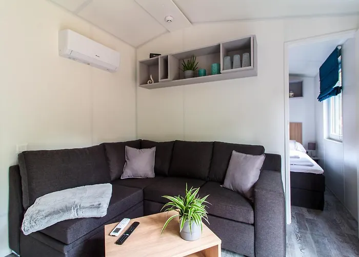 Iguana - Tiny Haus Am Reptilienzoo Reptilium Ferienhaus Landau in der Pfalz