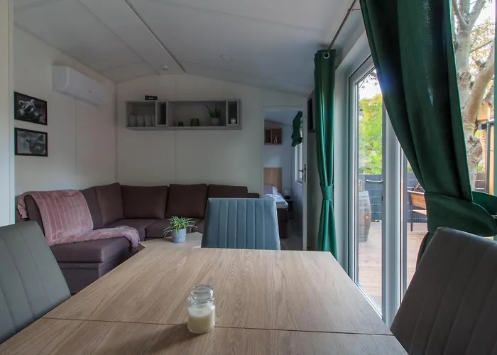 Iguana - Tiny Haus Am Reptilienzoo Reptilium Ferienhaus