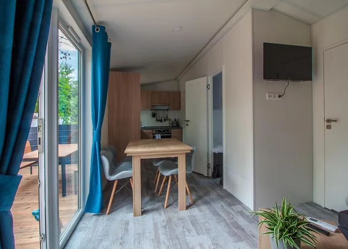 Iguana - Tiny Haus Am Reptilienzoo Reptilium * Landau in der Pfalz