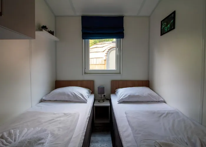 Iguana - Tiny Haus Am Reptilienzoo Reptilium * 朗道因德普法尔茨