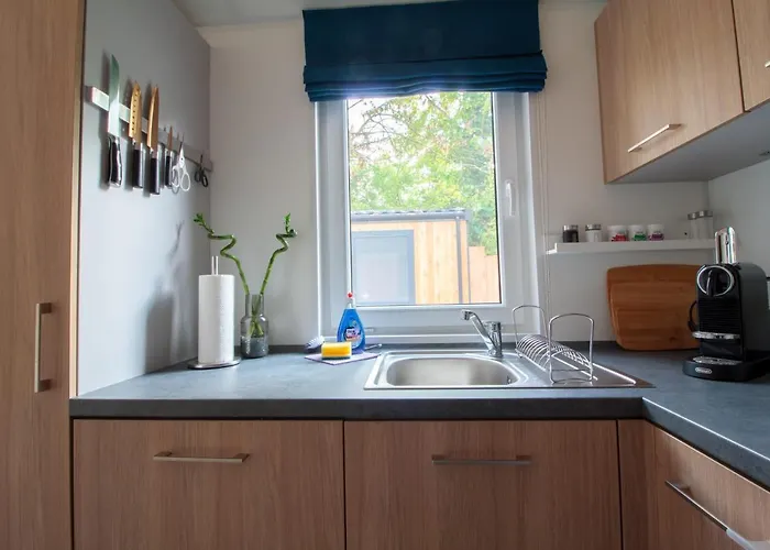 Iguana - Tiny Haus Am Reptilienzoo Reptilium 朗道因德普法尔茨