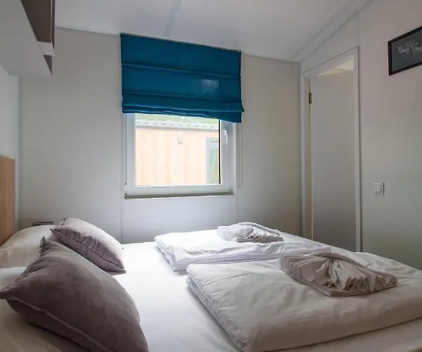 Iguana - Tiny Haus Am Reptilienzoo Reptilium