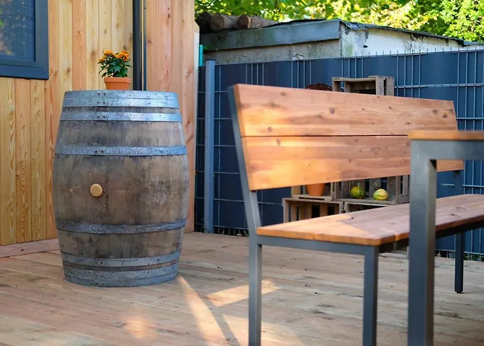 Iguana - Tiny Haus Am Reptilienzoo Reptilium 朗道因德普法尔茨