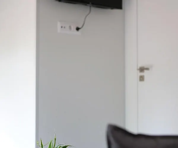 Iguana - Tiny Haus Am Reptilienzoo Reptilium Ferienhaus Landau in der Pfalz